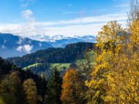 Fernblick an Herbstbäumen vorbei zum Alpenhauptkamm